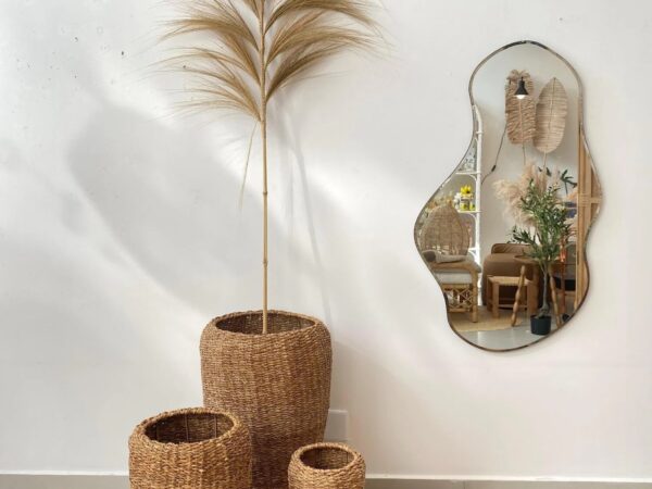 Descubra como Espelhos Orgânicos podem Mudar Sua Decoração